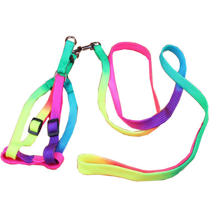 Rainbow Leash and Chest Strap