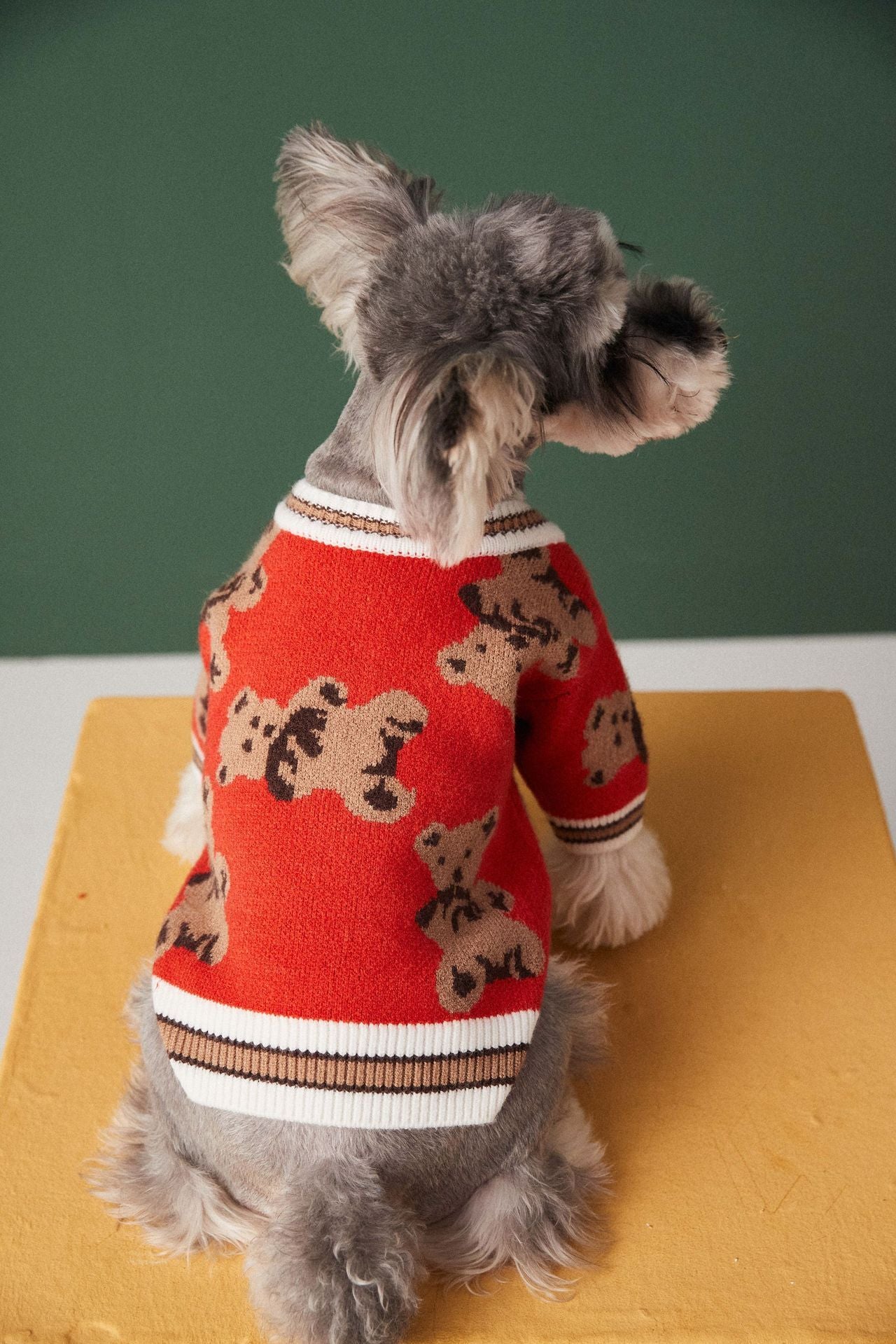 Preppy Style V-neck Puppy Vest