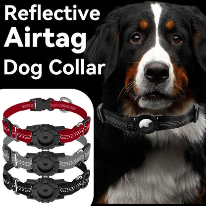 Apple Tag Reflective Collar