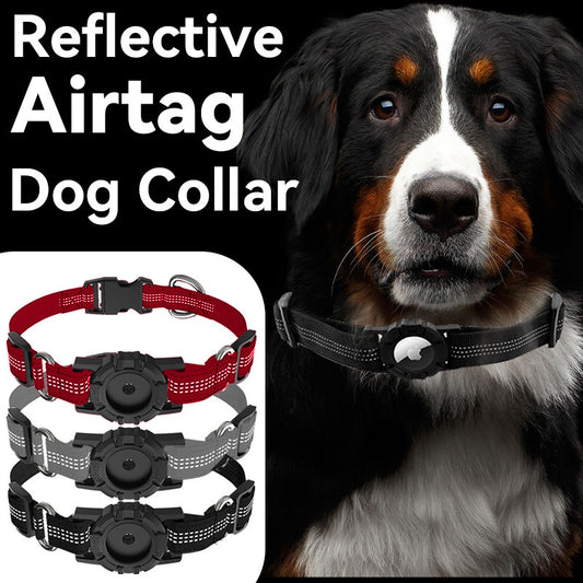 Apple Tag Reflective Collar