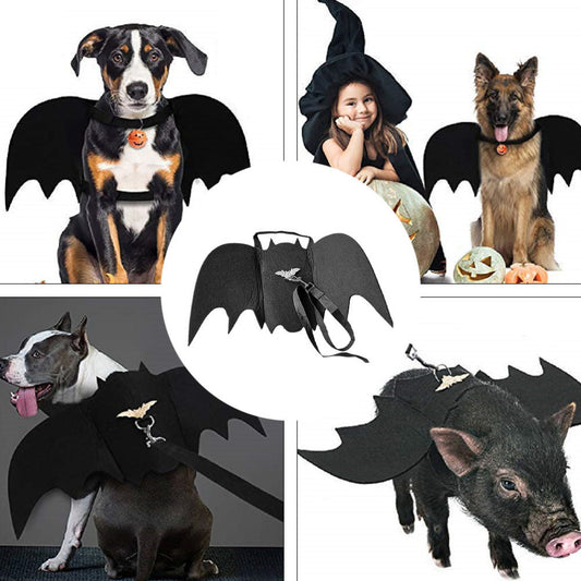 Halloween funny Pet Bat Wings