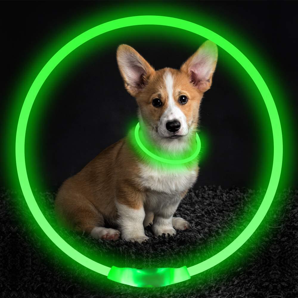 Pet Flashing Glow Collar USB Rechargeable