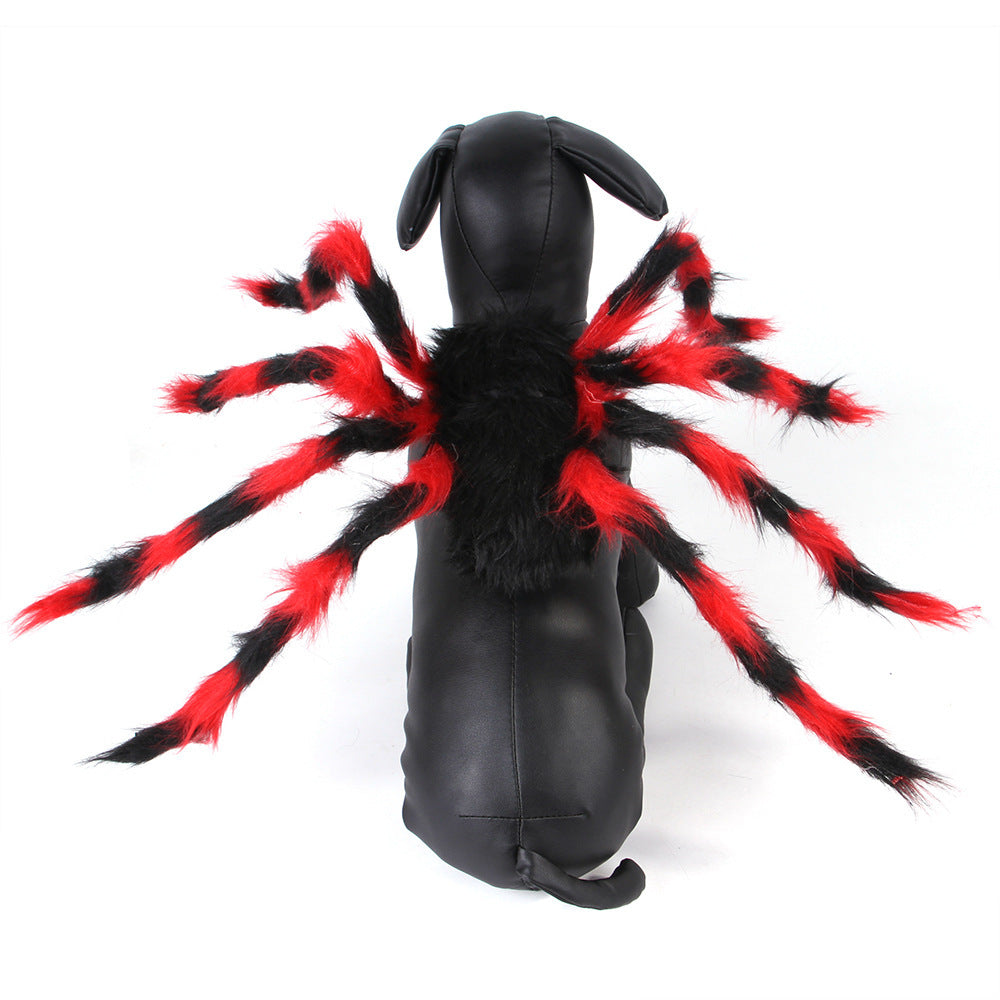 Pet Halloween Spider 🕷