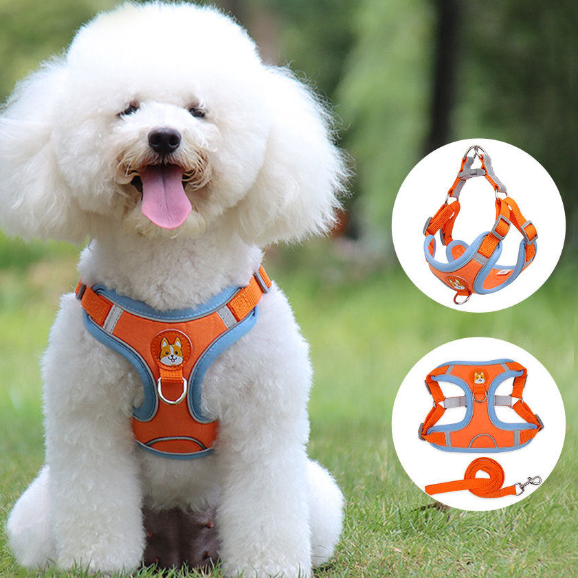 Soft Mesh Chest Strap Harness Set