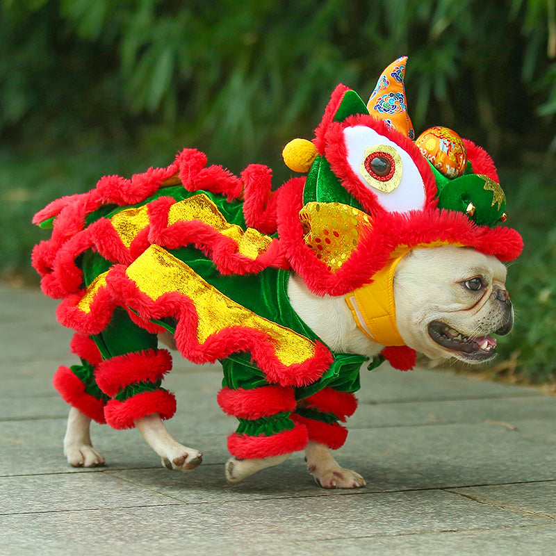 Paper Dragon Pet Costume