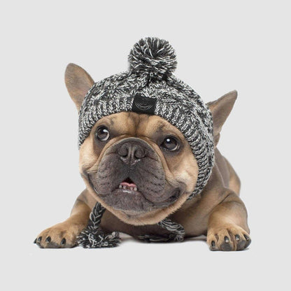 Pom Pom Winter Dog Toque