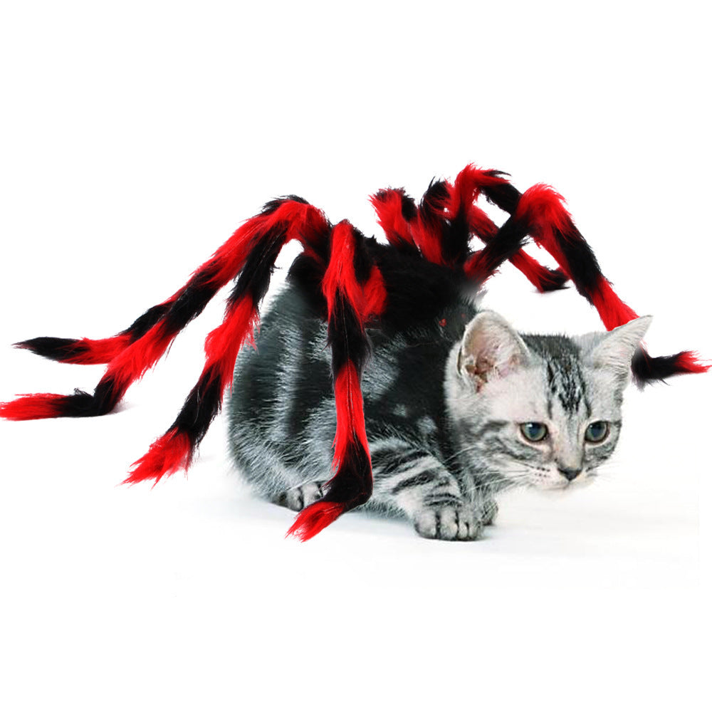 Pet Halloween Spider 🕷