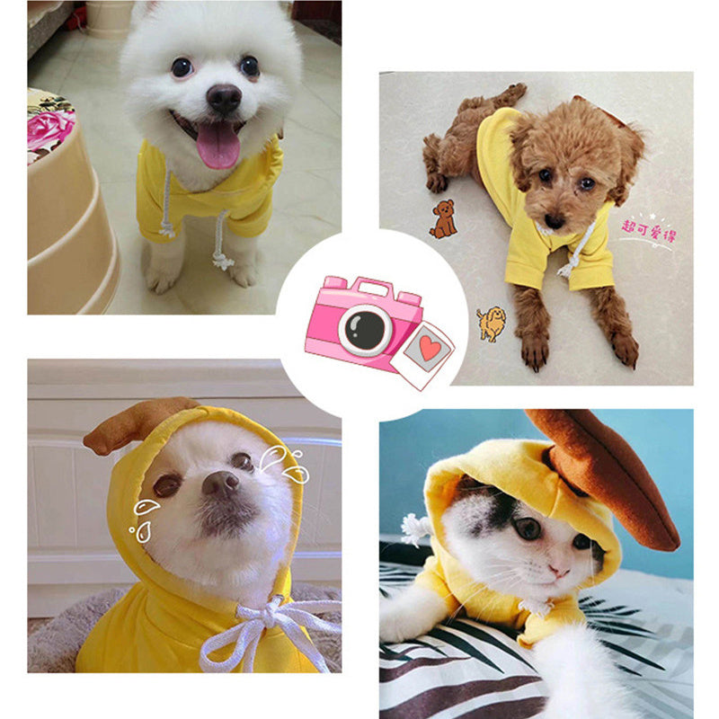 Cute Pet Hoodies & Costumes
