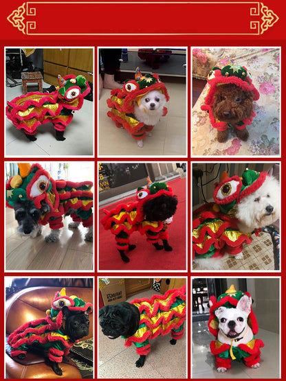 Paper Dragon Pet Costume