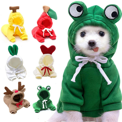 Cute Pet Hoodies & Costumes