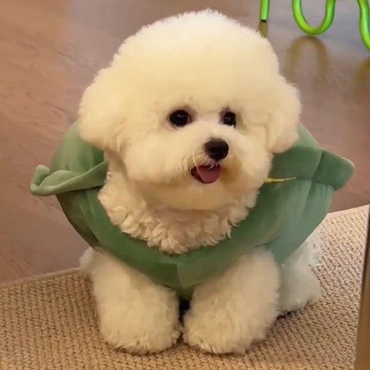 Turtle Shell Pet Vest Funny Costume