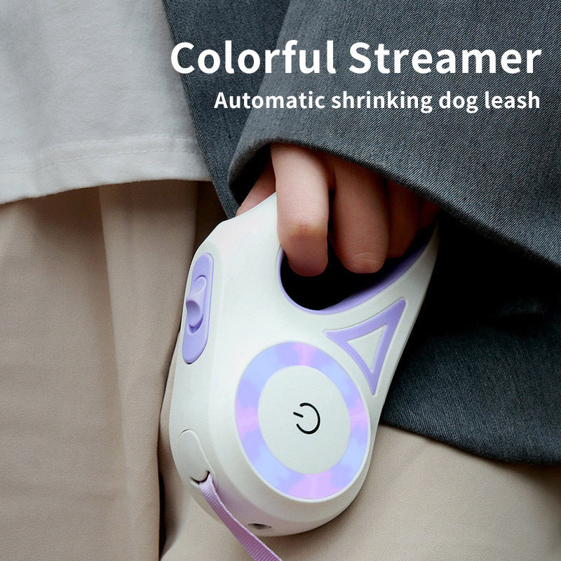 Retractable Leash And Dog Collar Spotlight traction