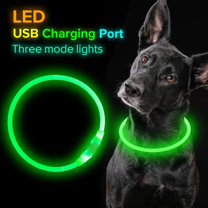 Pet Flashing Glow Collar USB Rechargeable