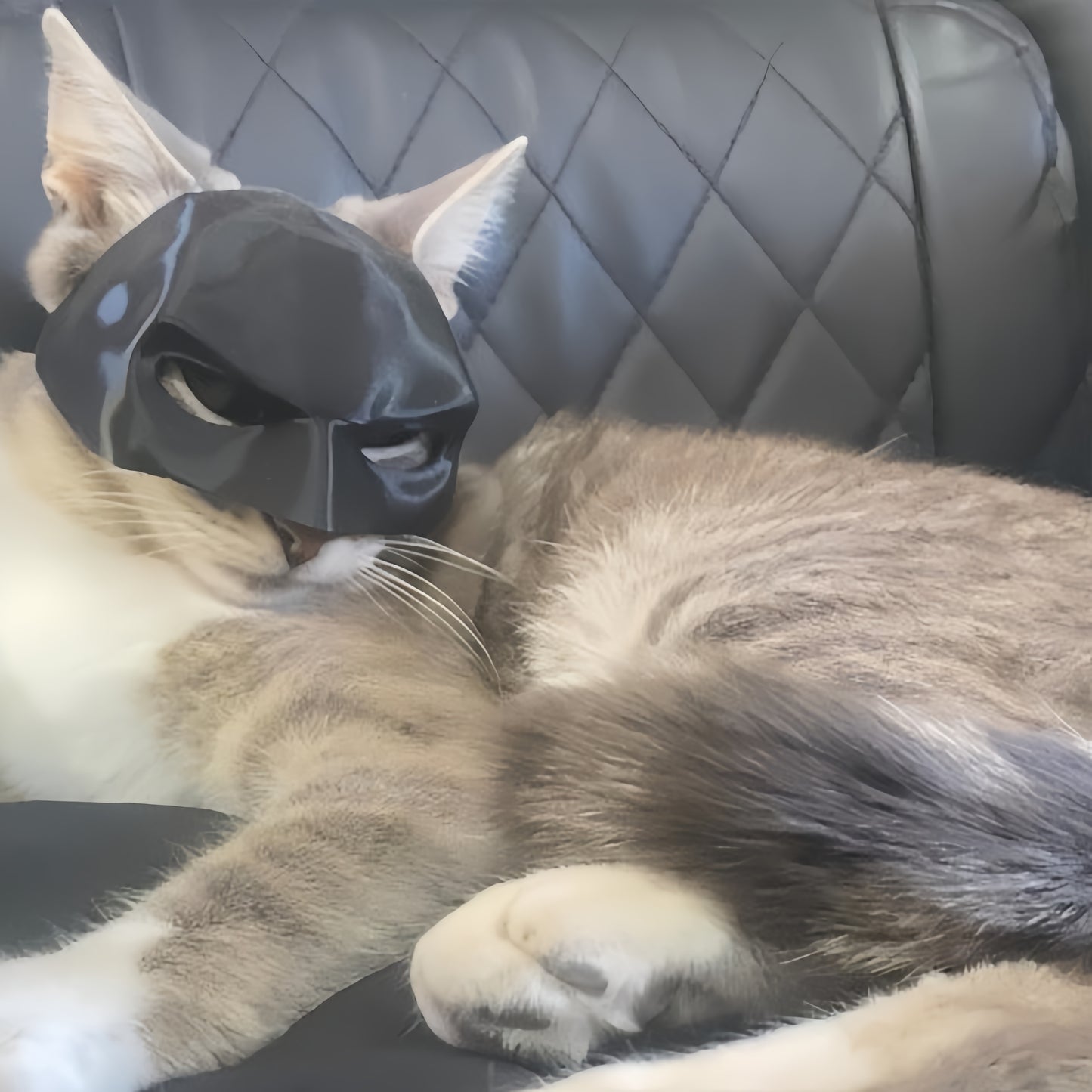 Superhero Cat Cosplay Mask