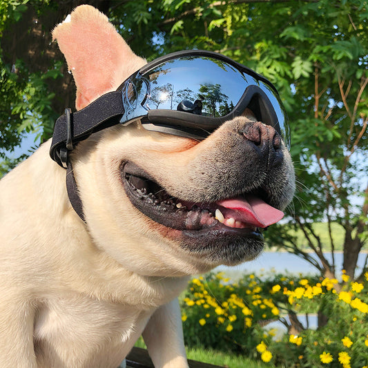 Windproof Dog Goggles