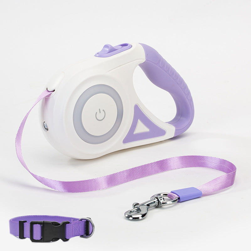 Retractable Leash And Dog Collar Spotlight traction