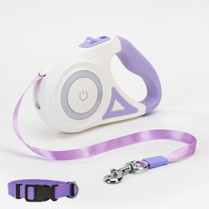 Retractable Leash And Dog Collar Spotlight traction