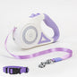 Retractable Leash And Dog Collar Spotlight traction