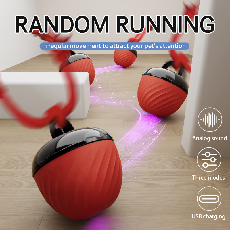 Cat/Dog Teasing Ball Bouncer