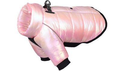 Winter Dog Down Jacket and Vest