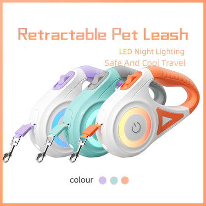 Retractable Leash And Dog Collar Spotlight traction