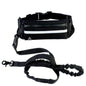Hands Free Dog Leash and Fanny Pack