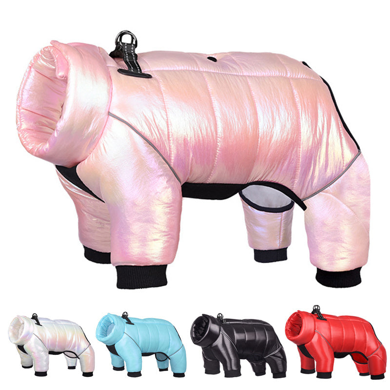 Winter Dog Down Jacket and Vest