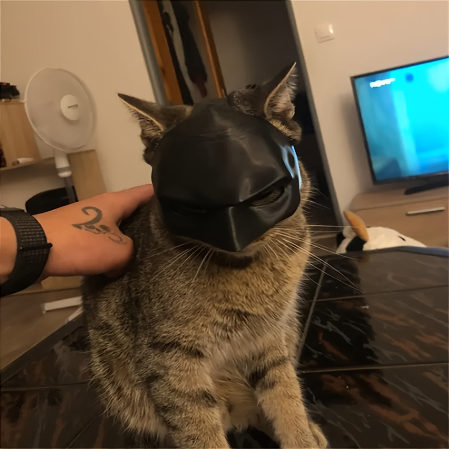 Superhero Cat Cosplay Mask