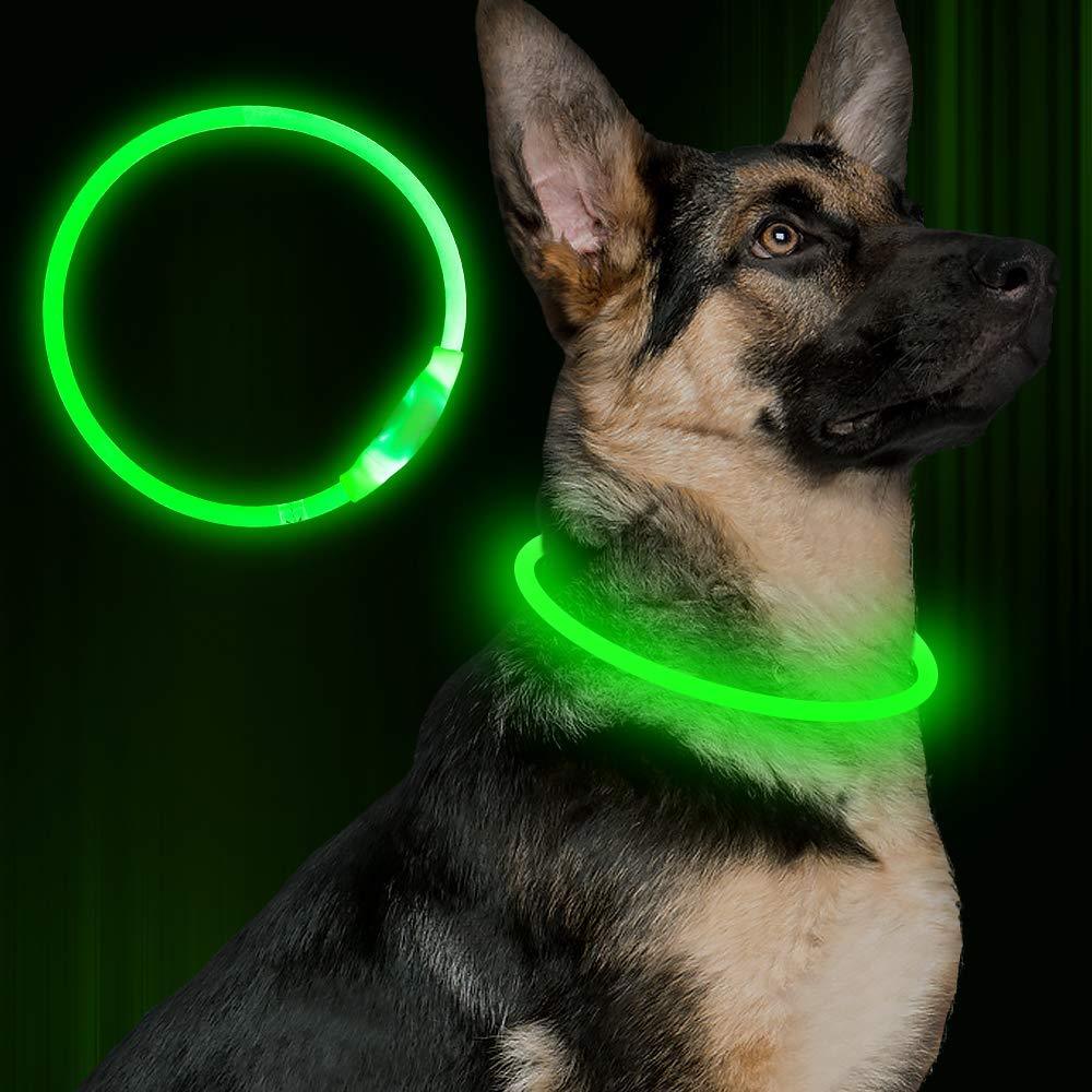 Pet Flashing Glow Collar USB Rechargeable