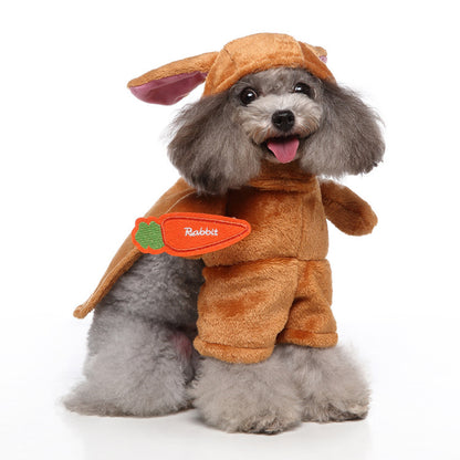 Pet Costumes My Imagination