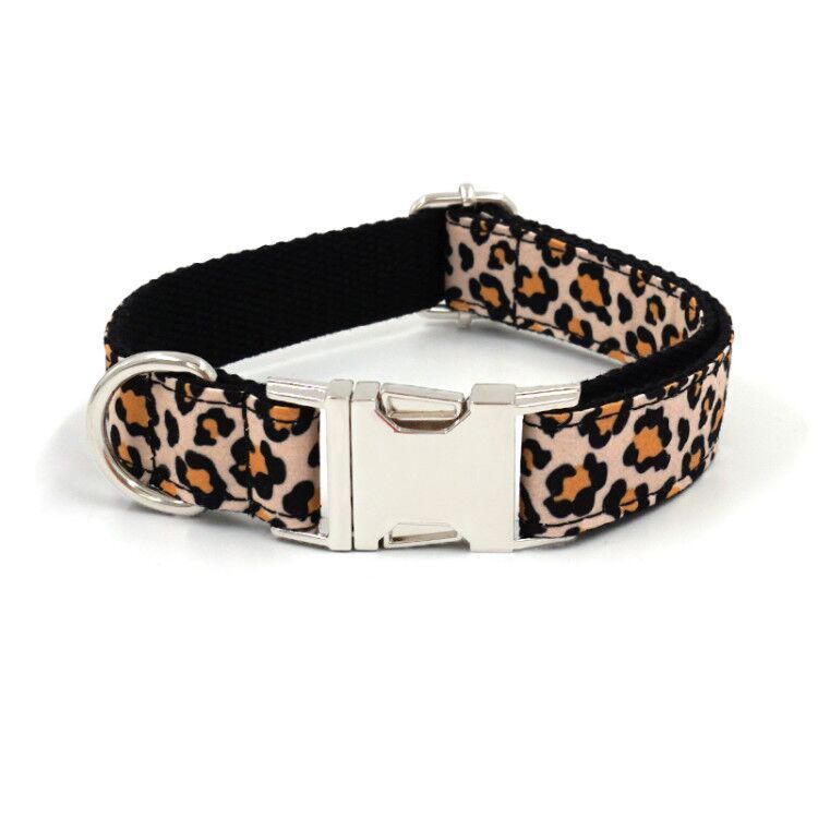 Cheetah Printed Cool Cat Dog Collar