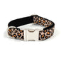 Cheetah Printed Cool Cat Dog Collar