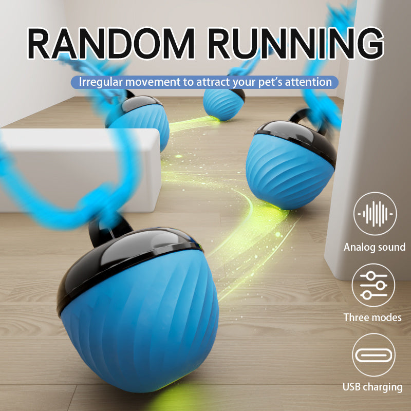 Cat/Dog Teasing Ball Bouncer