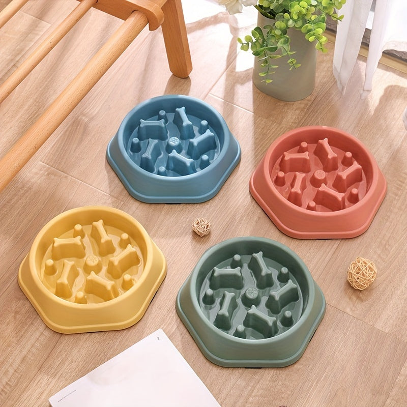 Slow Feeder Dog Bowl