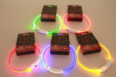 Pet Flashing Glow Collar USB Rechargeable