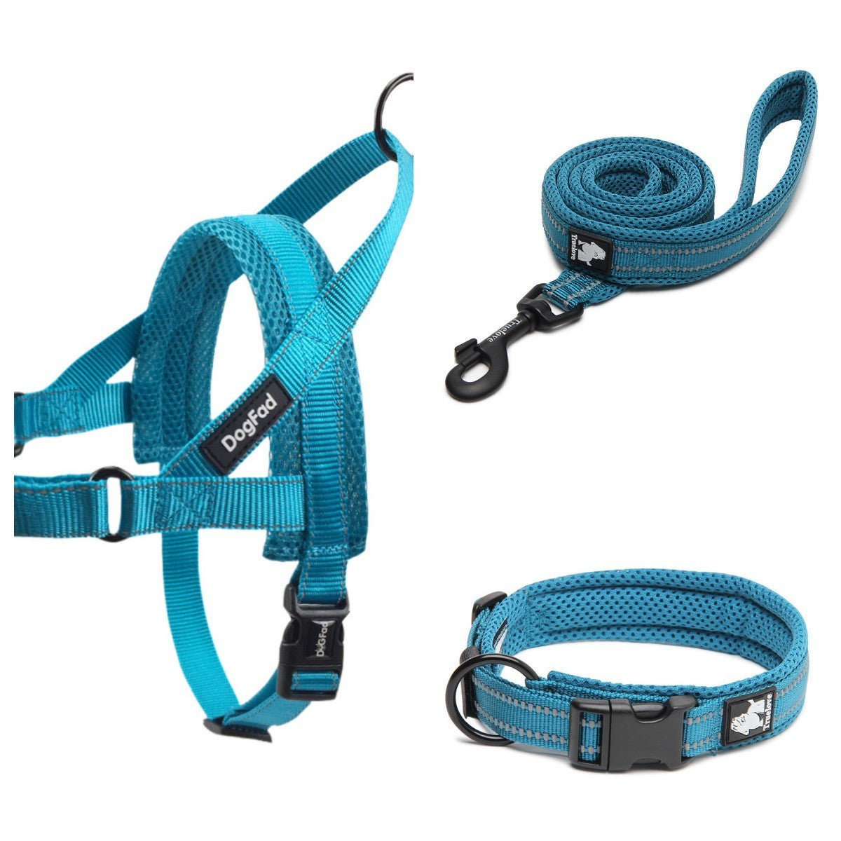 Bright Colours Thick Leash