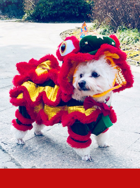 Paper Dragon Pet Costume