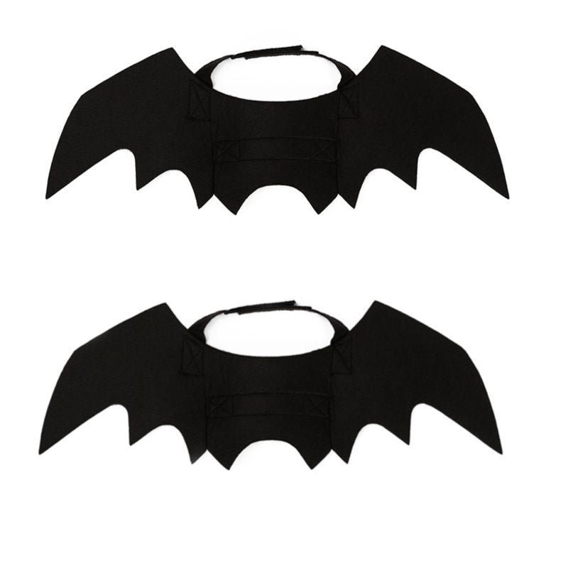 Halloween Costume Pet Bat and Spider