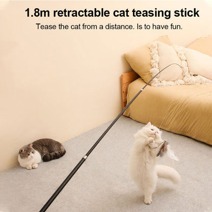 Cat-teasing Stick Toy