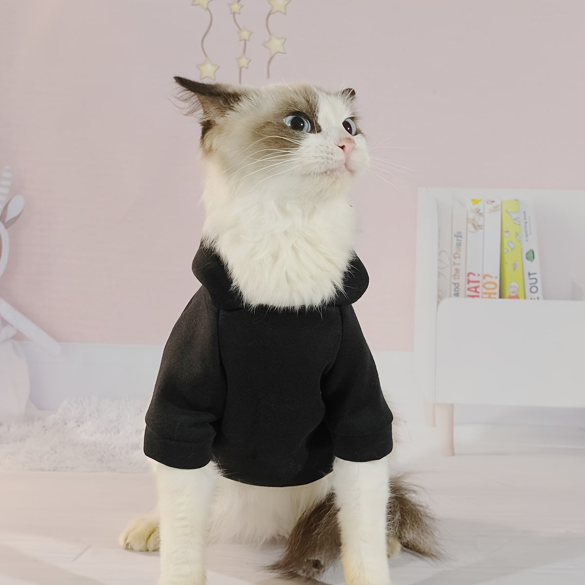 Trouble Maker Hoodie