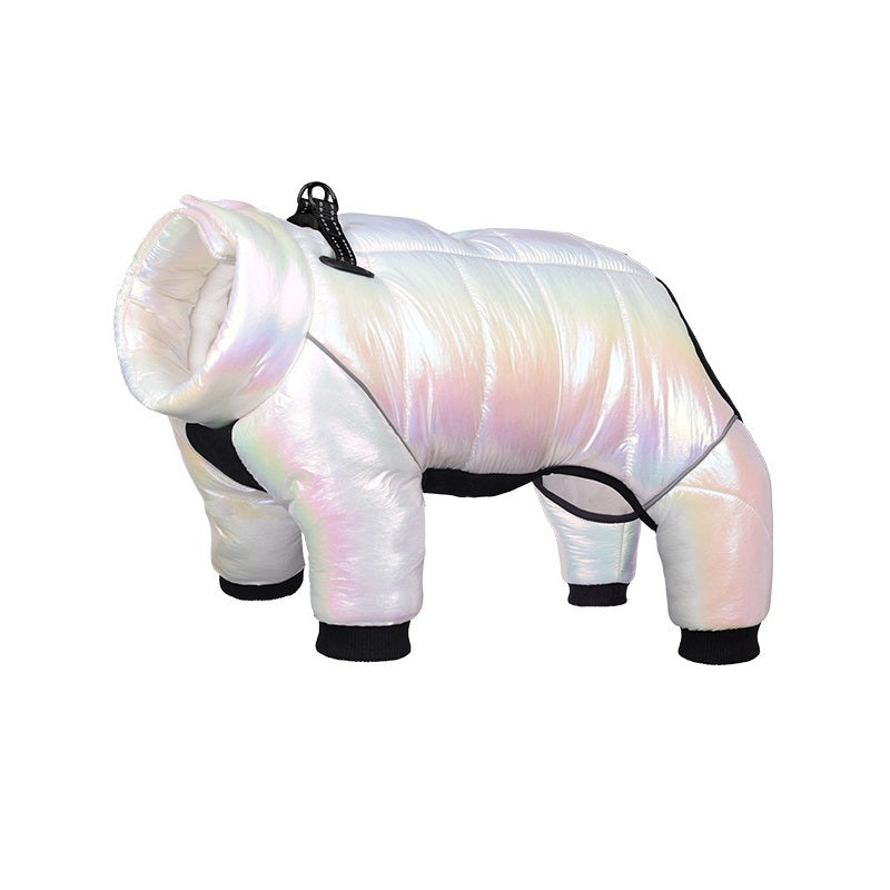 Winter Dog Down Jacket and Vest