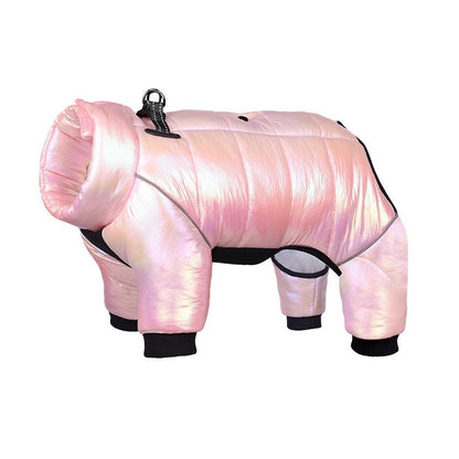 Winter Dog Down Jacket and Vest