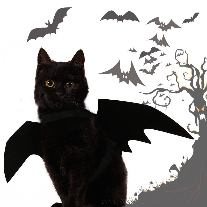 Halloween Costume Pet Bat and Spider