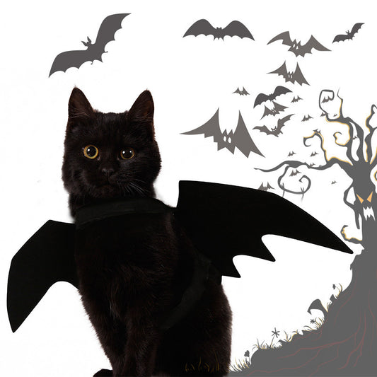Halloween Costume Pet Bat and Spider