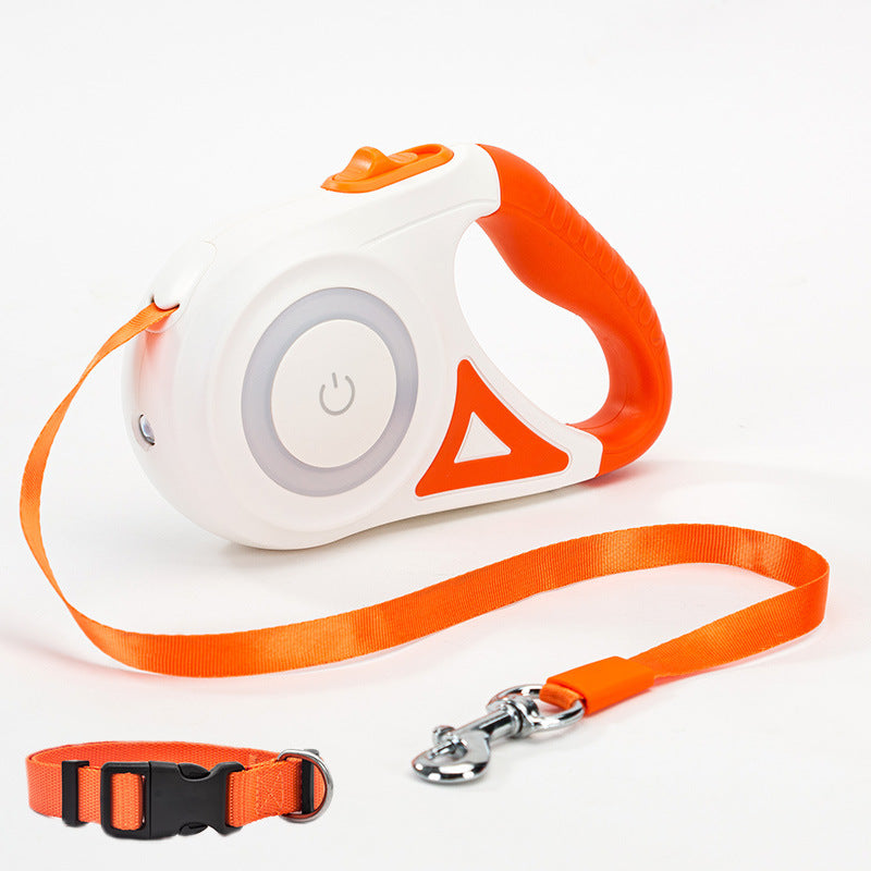 Retractable Leash And Dog Collar Spotlight traction
