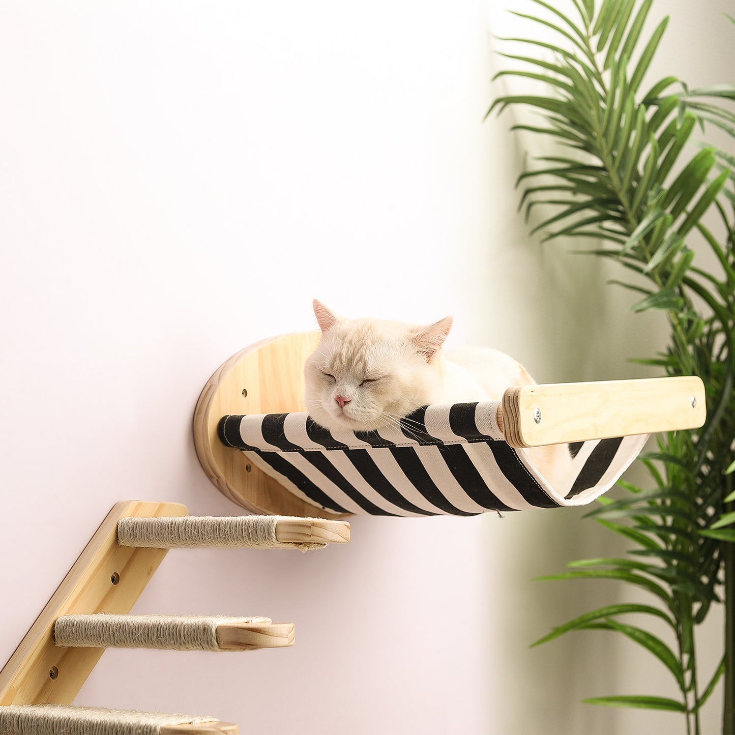 Pine Wood Cat Climbing Frames