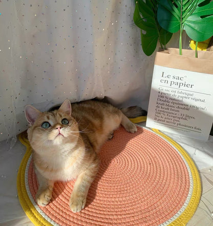 Sisal Cat Scratching Board Cattery Decoration