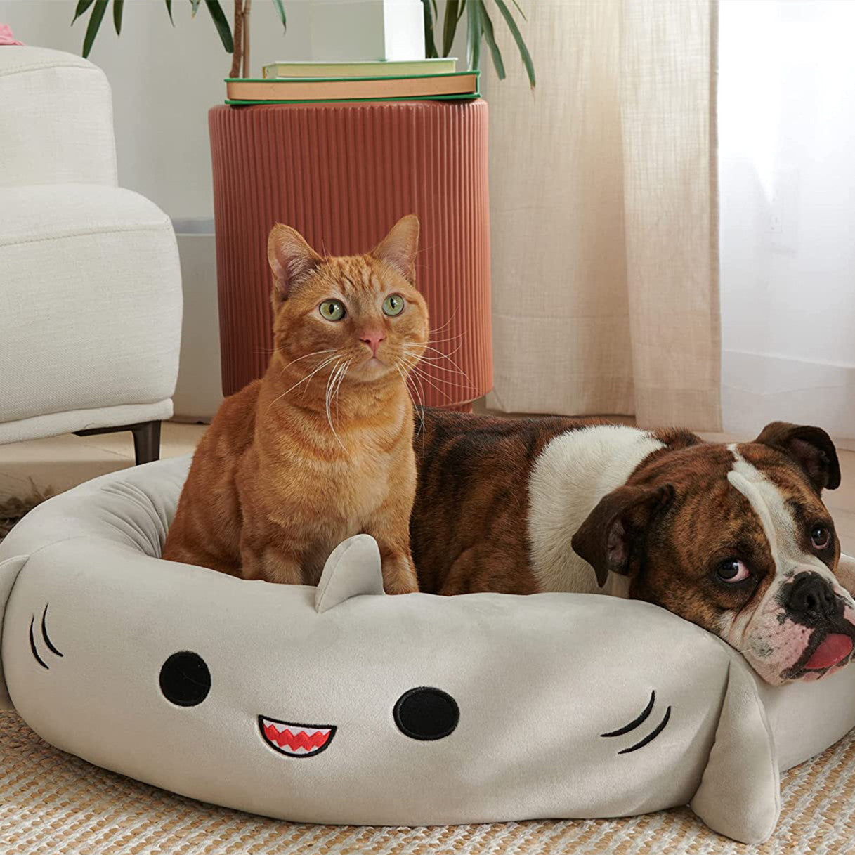 Cute Shark Pet Bed